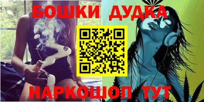 spice Новодвинск