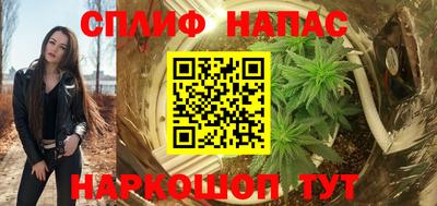 spice Новодвинск