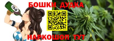 spice Новодвинск