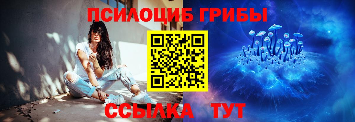 Псилоцибиновые грибы мицелий Урай